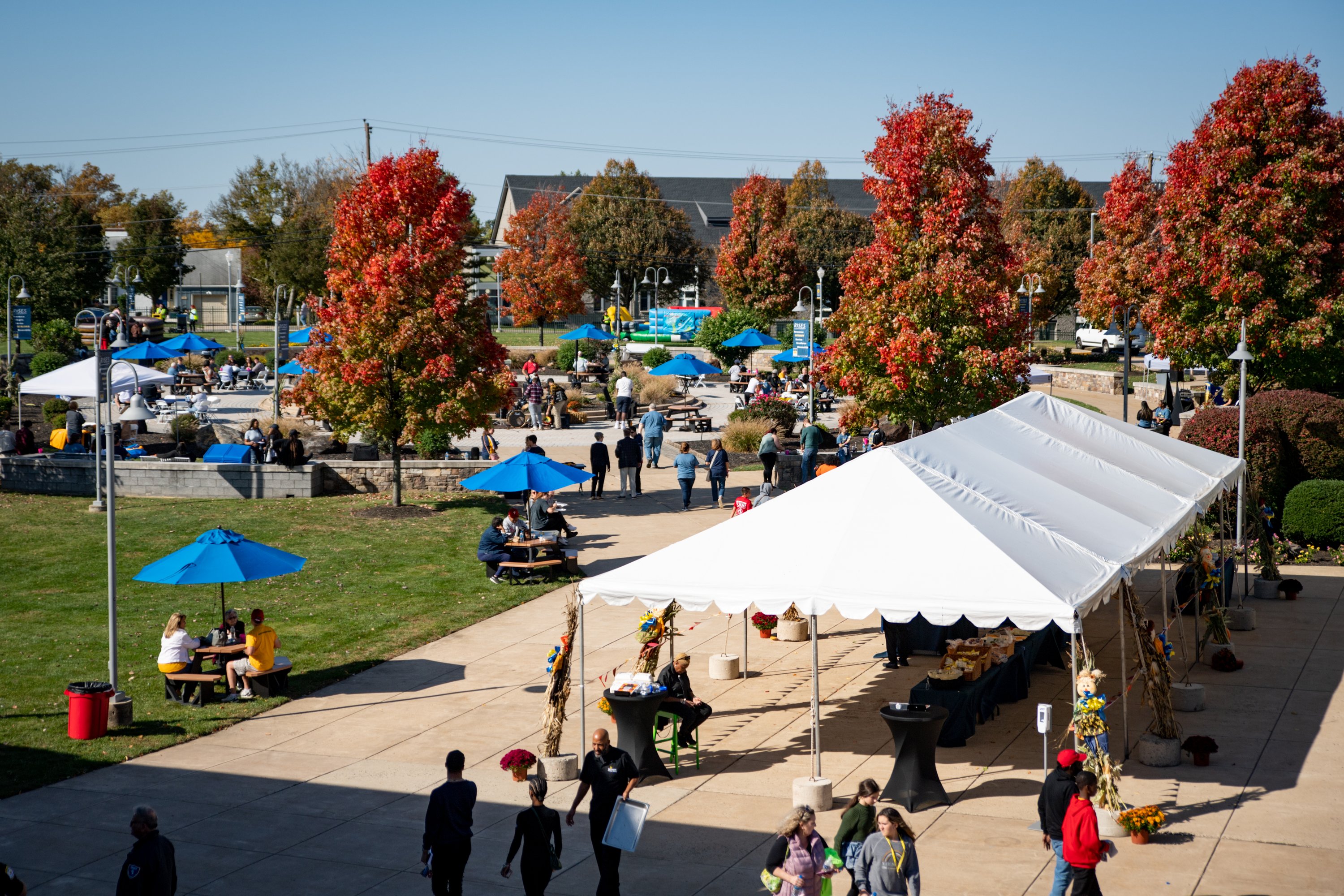 Alumni Benefits | Neumann University