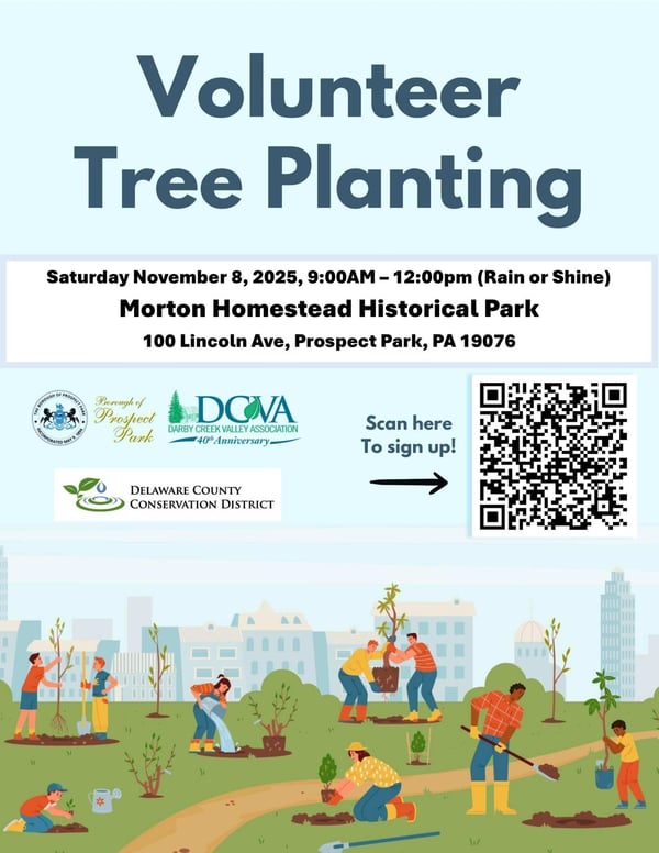 573518735_1284782220343797_3989341090804323248_n