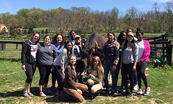 Standing Hope Equine Therapy