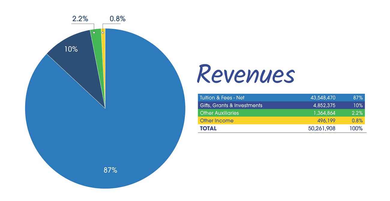 Revenues_2019