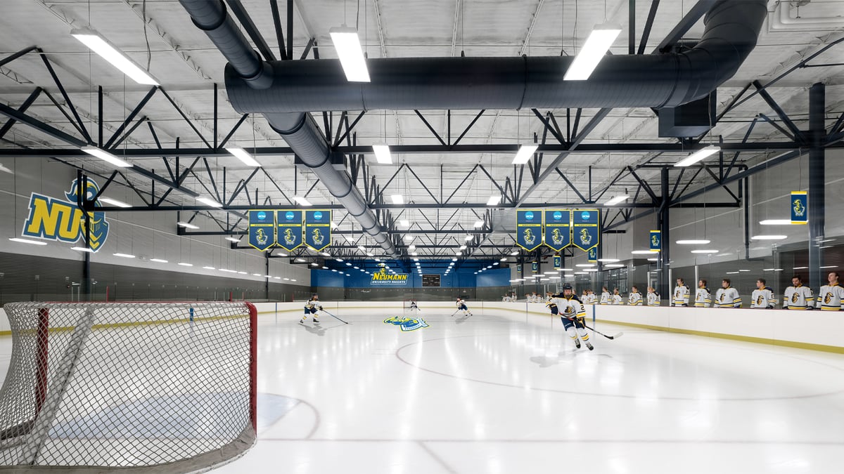 Neumann Rink