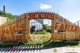 Nice Roots Farm