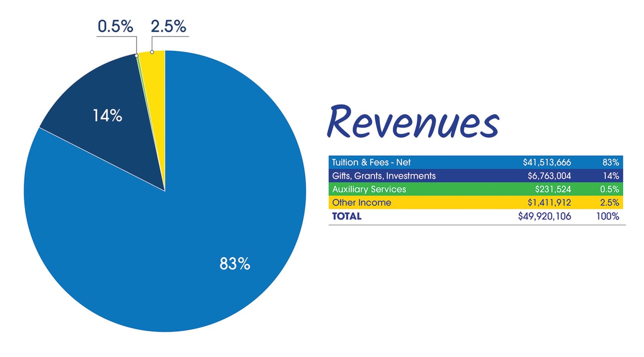Revenues_2019-2020-1