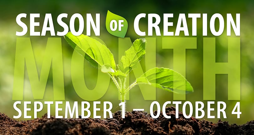 Season-of-creation