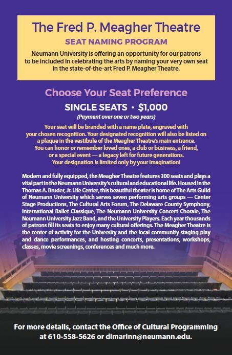 Flyer for NU Seat Naming Program for Fred P. Meagher Theatre