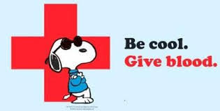 snoopy red cross