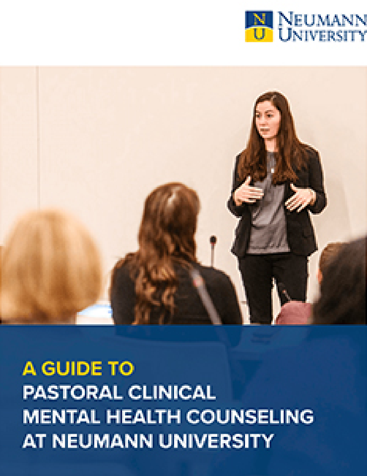 a guide to pastoral clinical mental health counseling at neumann university