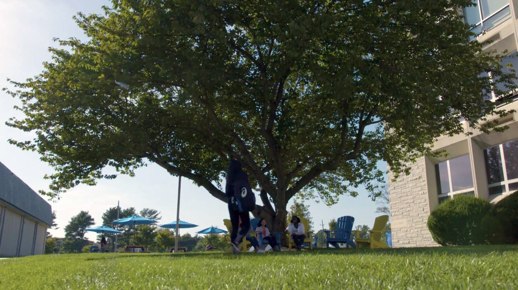 Neumann University Neumann University